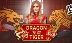 Dragon Tiger tại ACB8